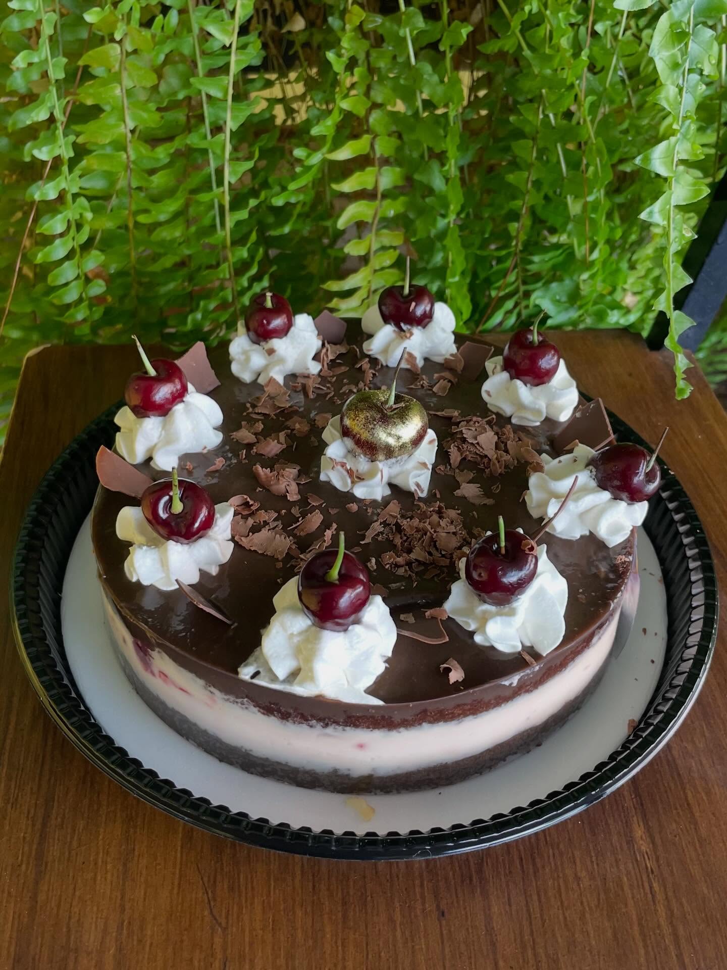 Bolo de chocolate decorado com cerejas, chantilly e raspas de chocolate, sobre suporte, em ambiente com folhagem